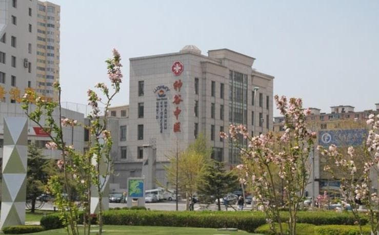 SHENGU (ШЕНЬГУ)