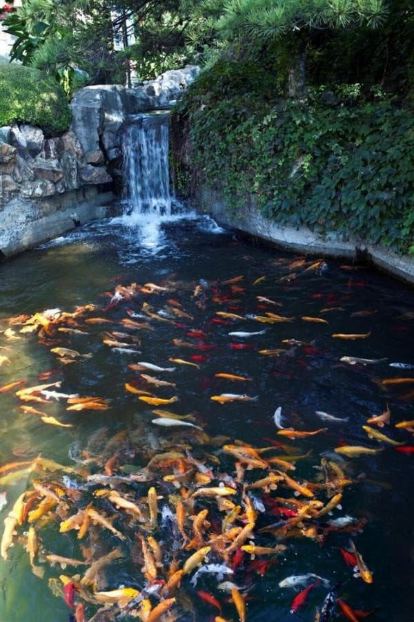ZHONGXIA GARDEN