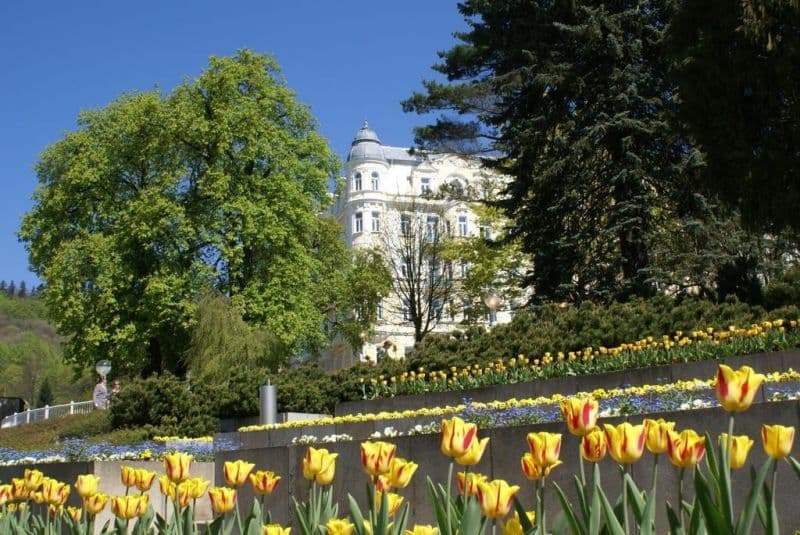 BELVEDERE ML