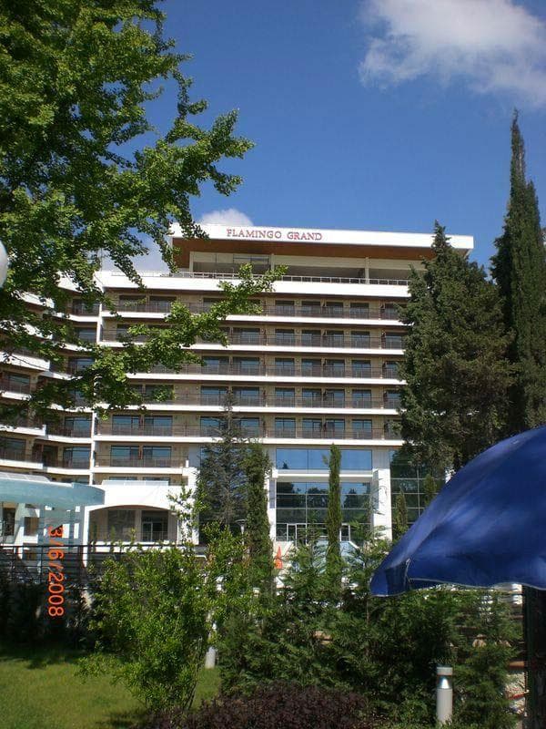 FLAMINGO ALBENA