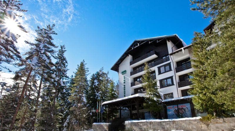 LION BOROVETS