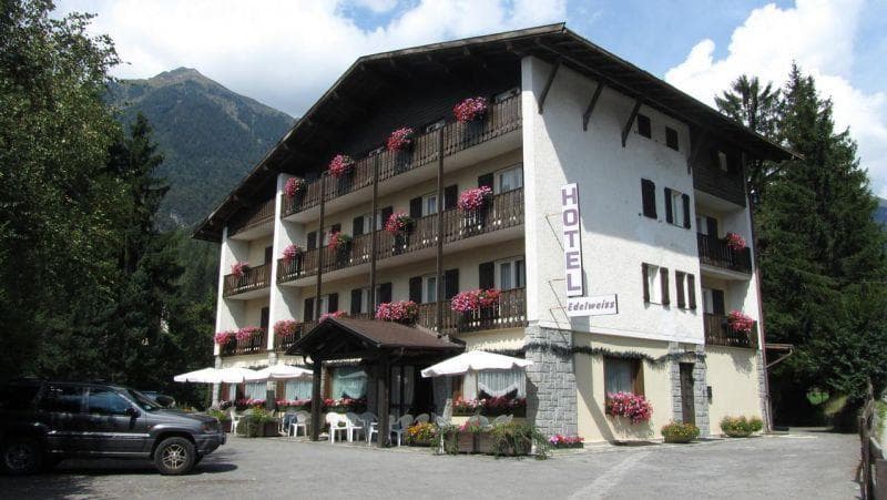 EDELWEISS PINZOLO