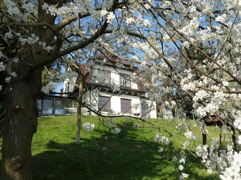 FALKENHALDE APARTMENT