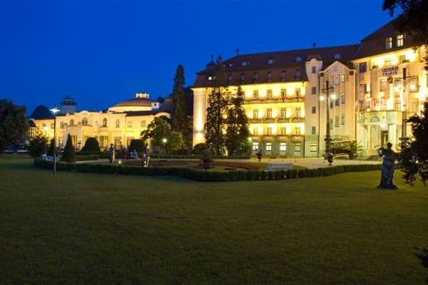 DHSR THERMIA PALACE