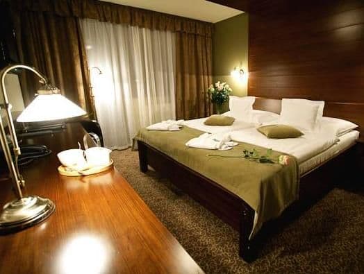 WELLNESS HOTEL BOROVICA