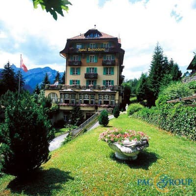 BELVEDERE WENGEN