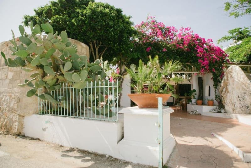 GORGONA STUDIOS