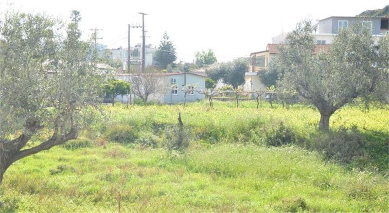 IATRIDIS STUDIOS