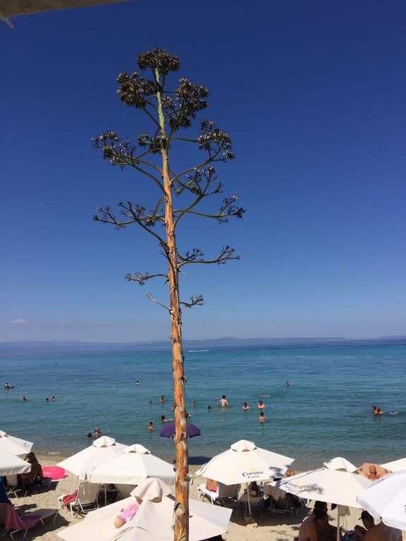 PLEIADES BOUTIQUE VILLAS