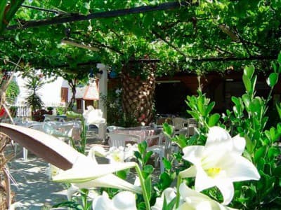SAKIS HAUS